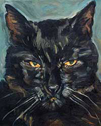 black cat