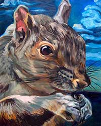 blue squirrel